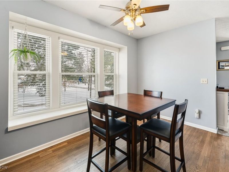 288 E Clinton Street, Doylestown, OH 44230 Photo 11