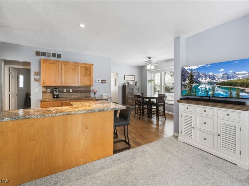 288 E Clinton Street, Doylestown, OH 44230 Photo 7