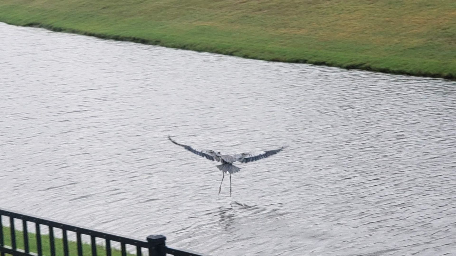 147 Cassina Dr. Photo 44