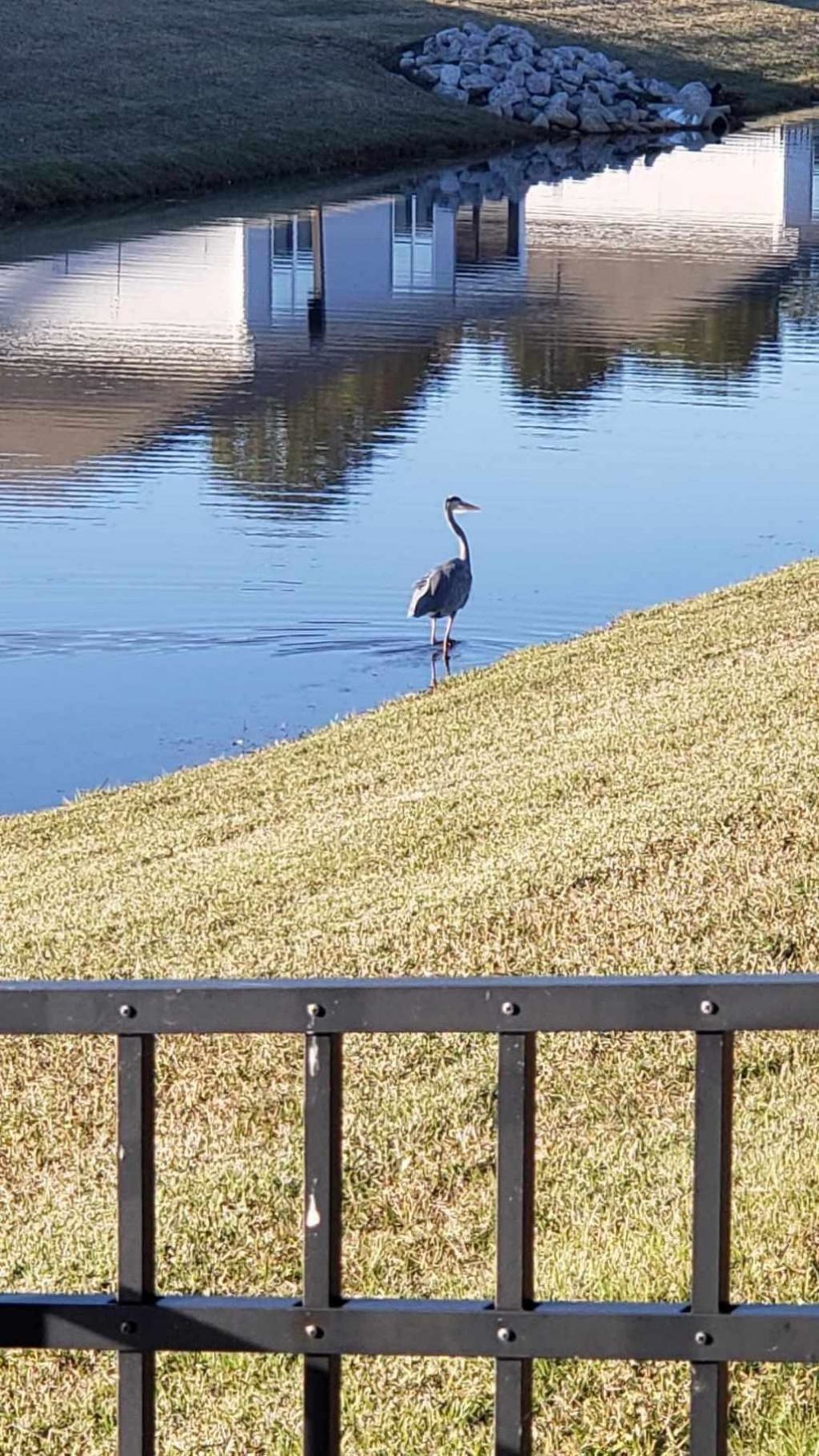 147 Cassina Dr. Photo 47