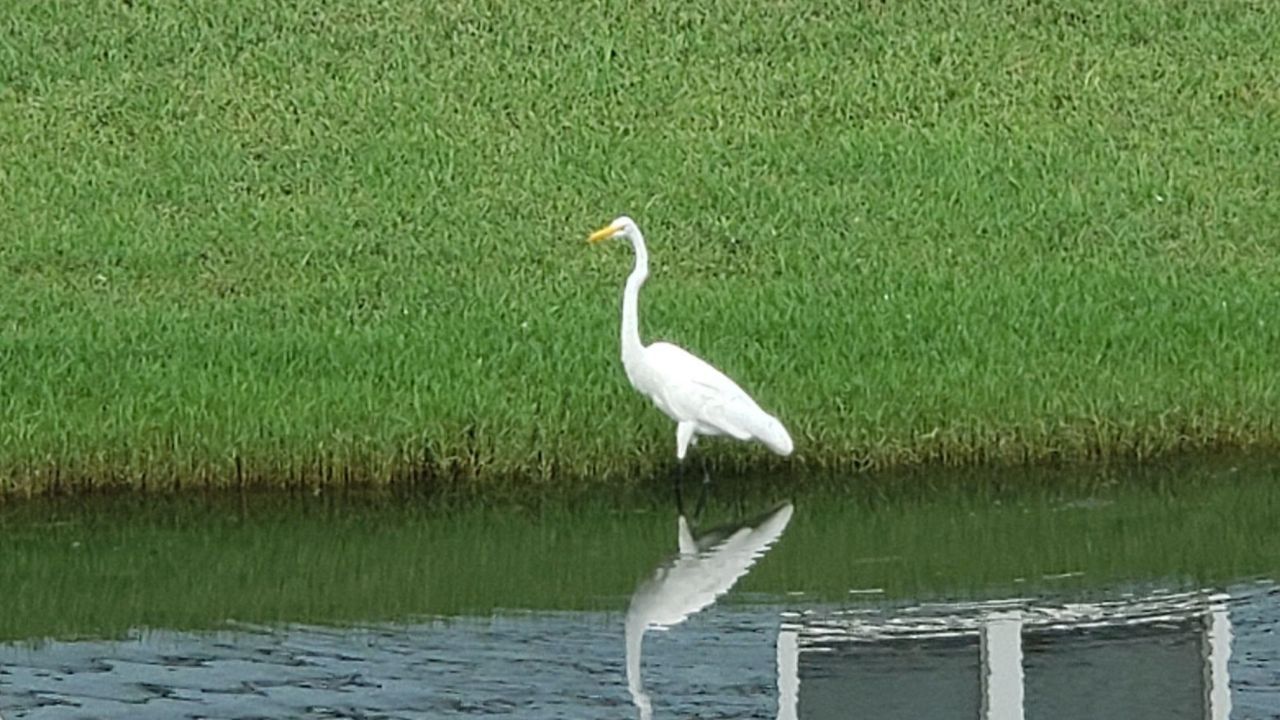 147 Cassina Dr. Photo 5