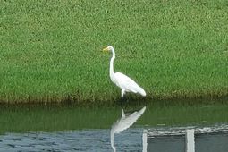 147 Cassina Dr. photo 4