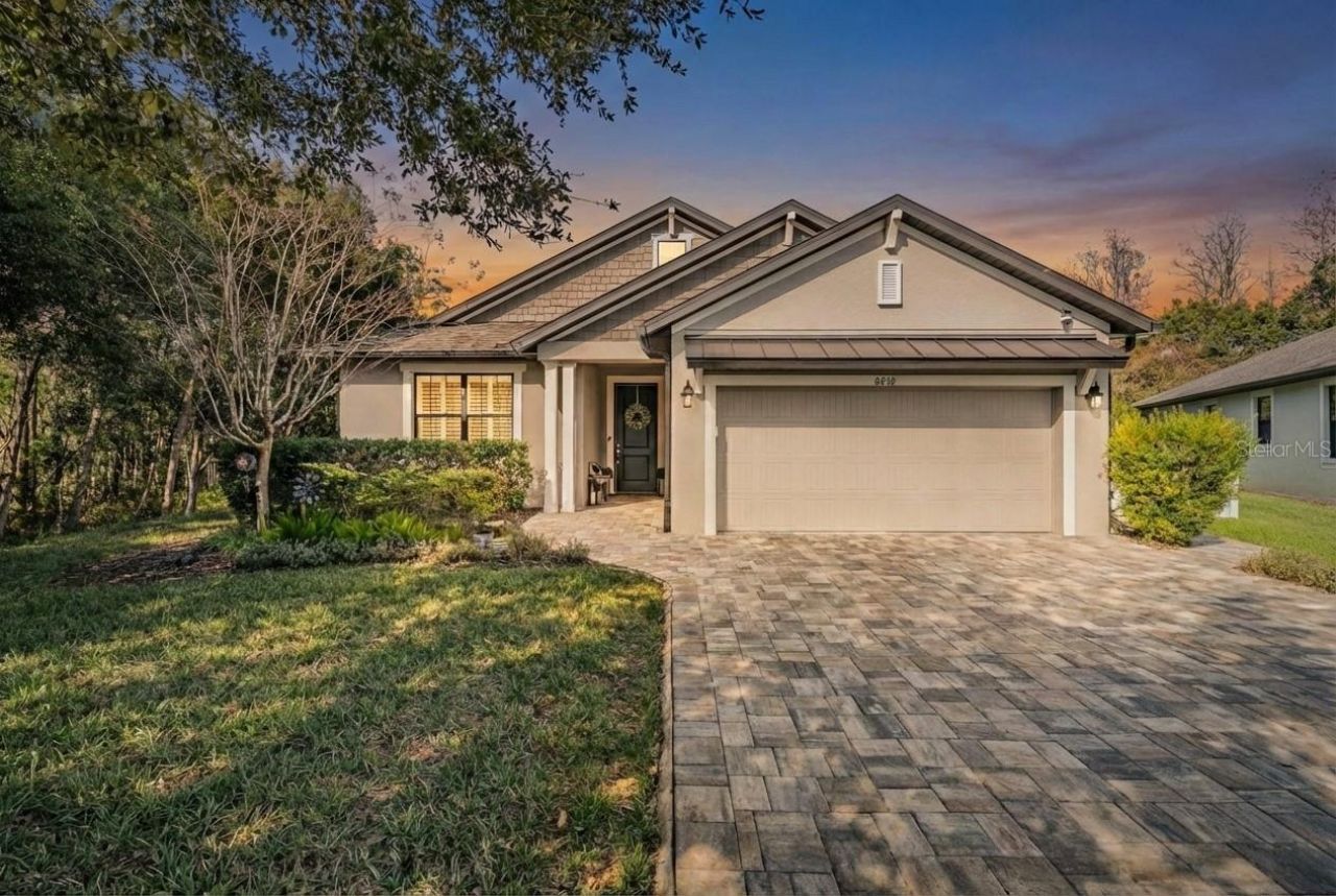 8432 Auburn Rise Court, Land O Lakes, FL 34638 Main Photo