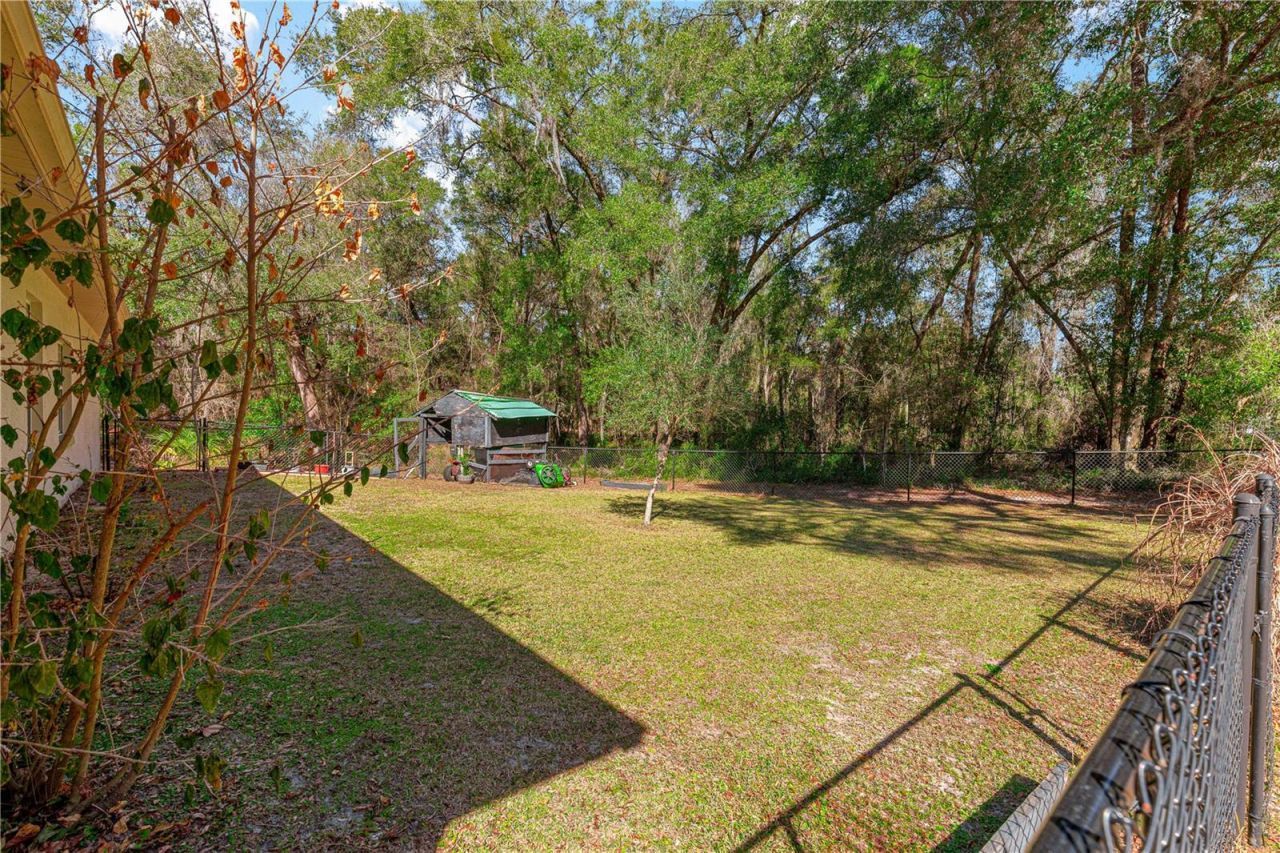 10100 N Wayland Avenue, Citrus Springs, FL 34434 Photo