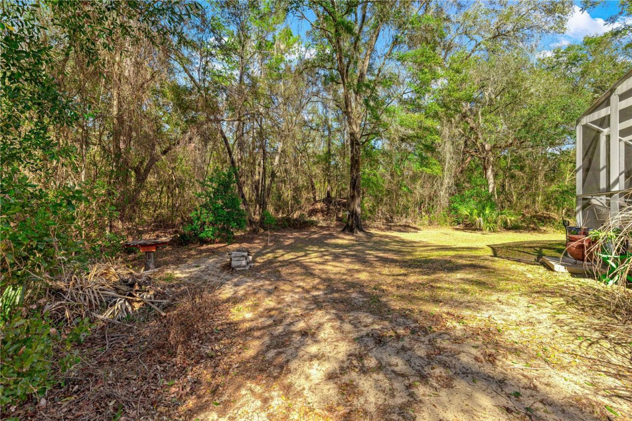 10100 N Wayland Avenue, Citrus Springs, FL 34434 Photo