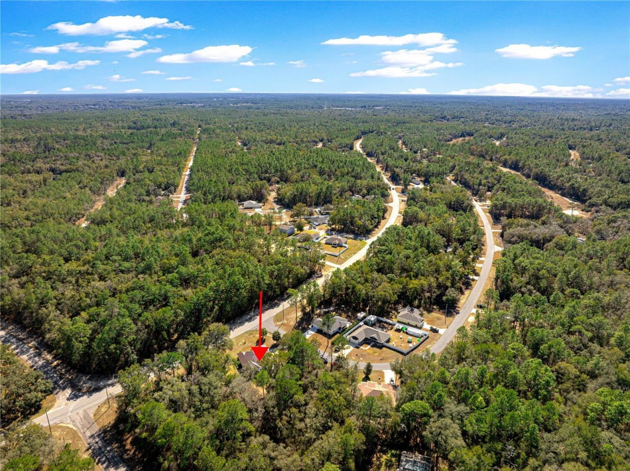 10100 N Wayland Avenue, Citrus Springs, FL 34434 Photo