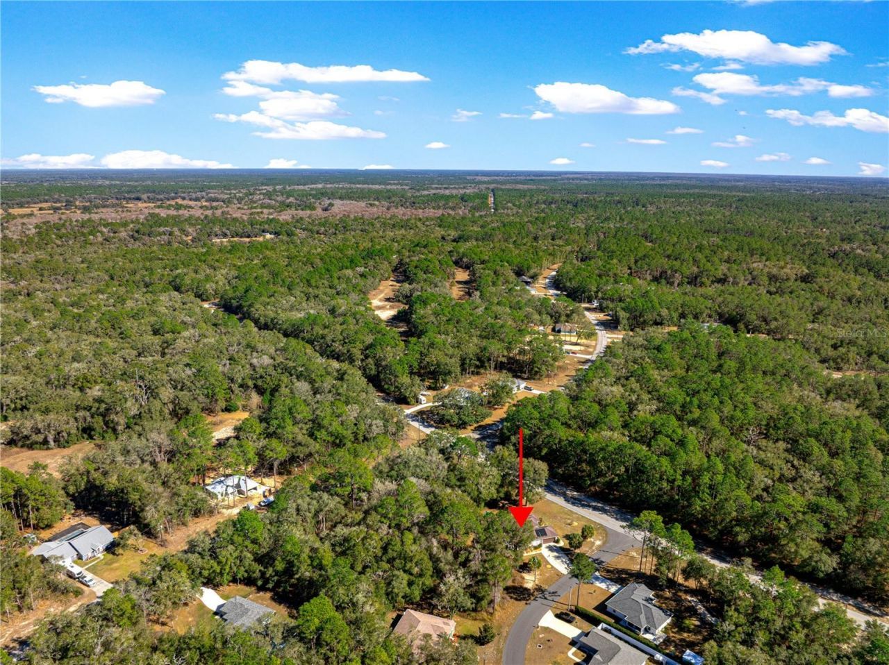 10100 N Wayland Avenue, Citrus Springs, FL 34434 Photo