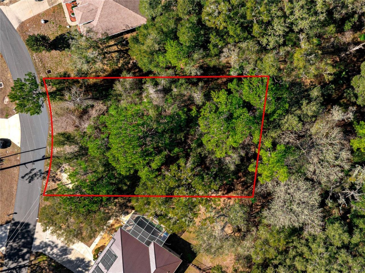 10100 N Wayland Avenue, Citrus Springs, FL 34434 Photo