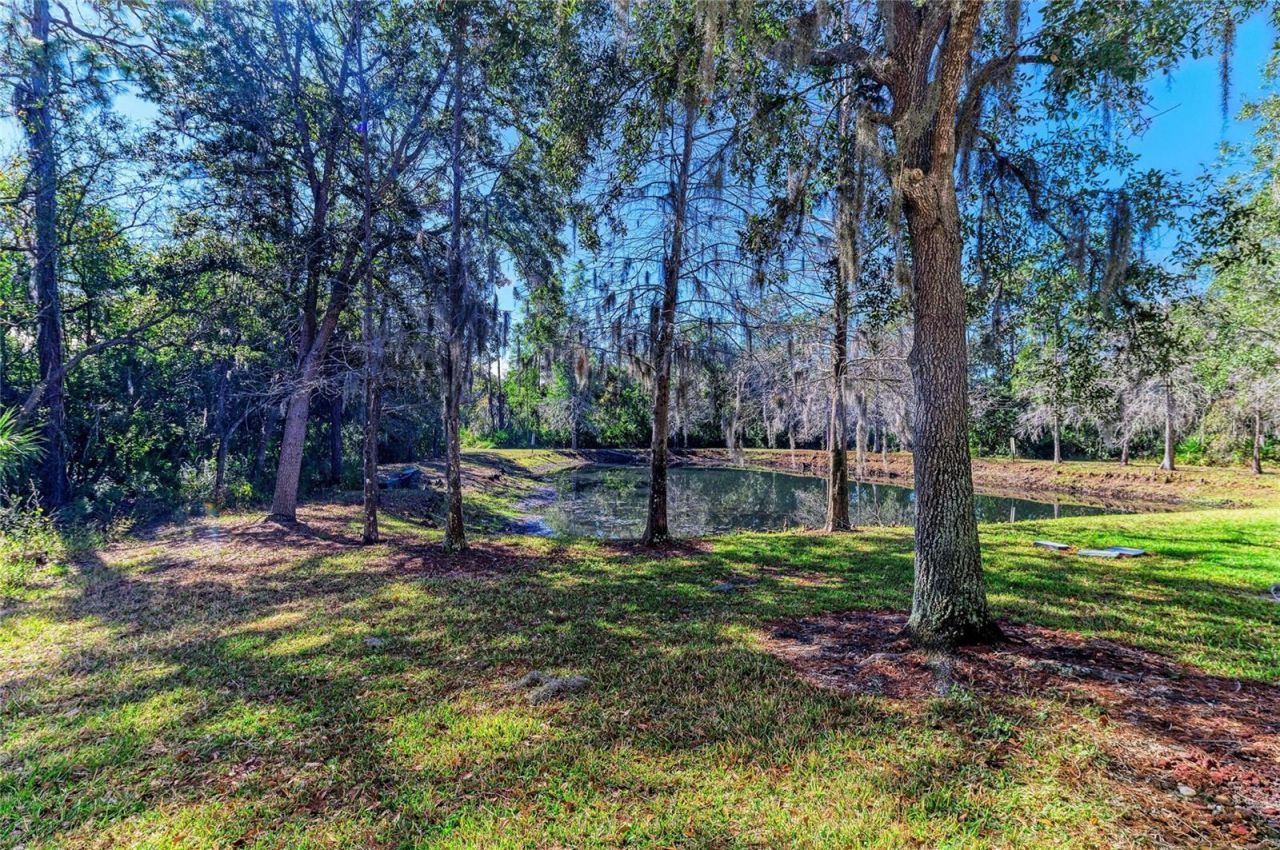 8626 Majestic Elm Court, Lakewood Ranch, FL 34202 Photo