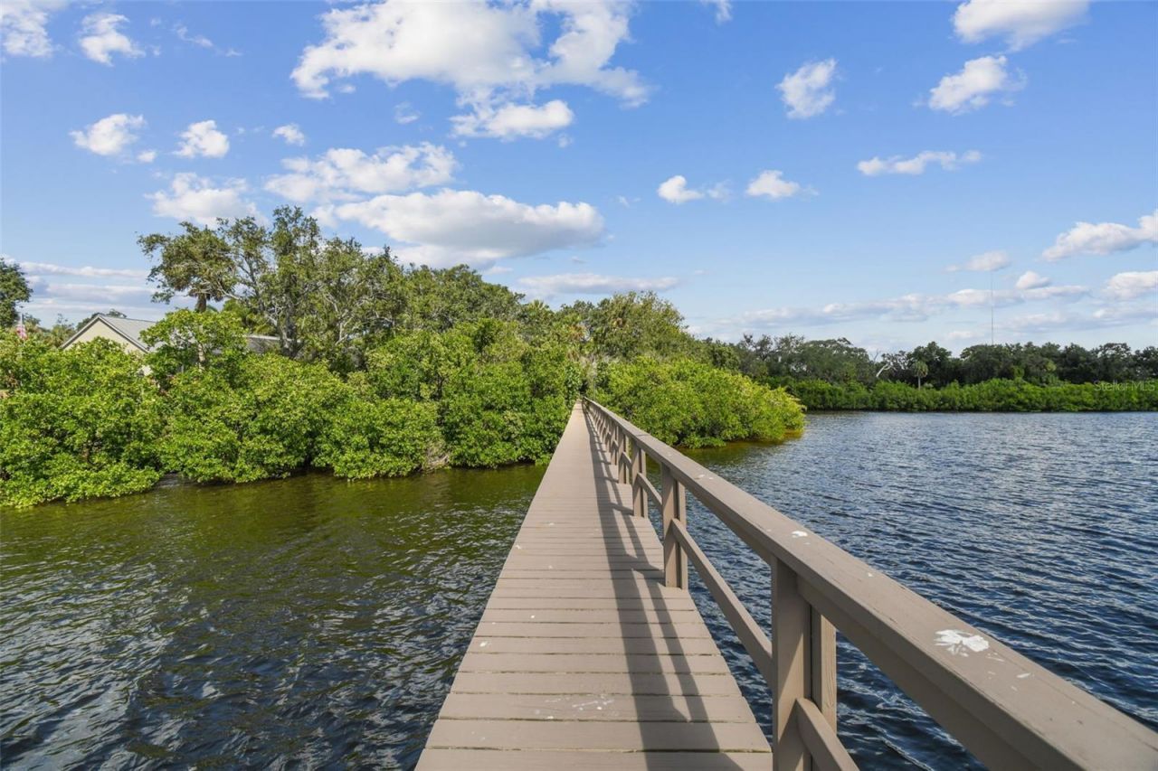 1705 Meyers Cove Drive, Tarpon Springs, FL 34689 Photo