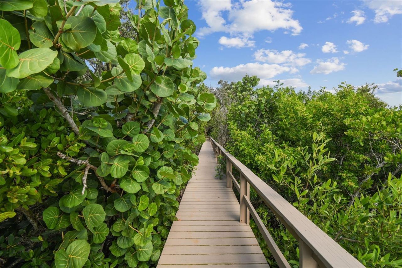 1705 Meyers Cove Drive, Tarpon Springs, FL 34689 Photo