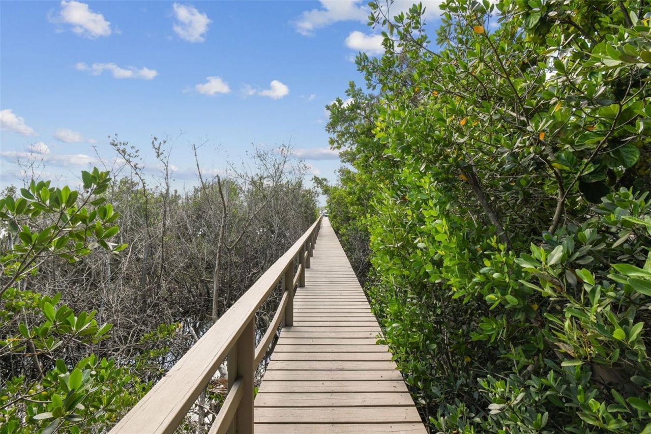 1705 Meyers Cove Drive, Tarpon Springs, FL 34689 Photo