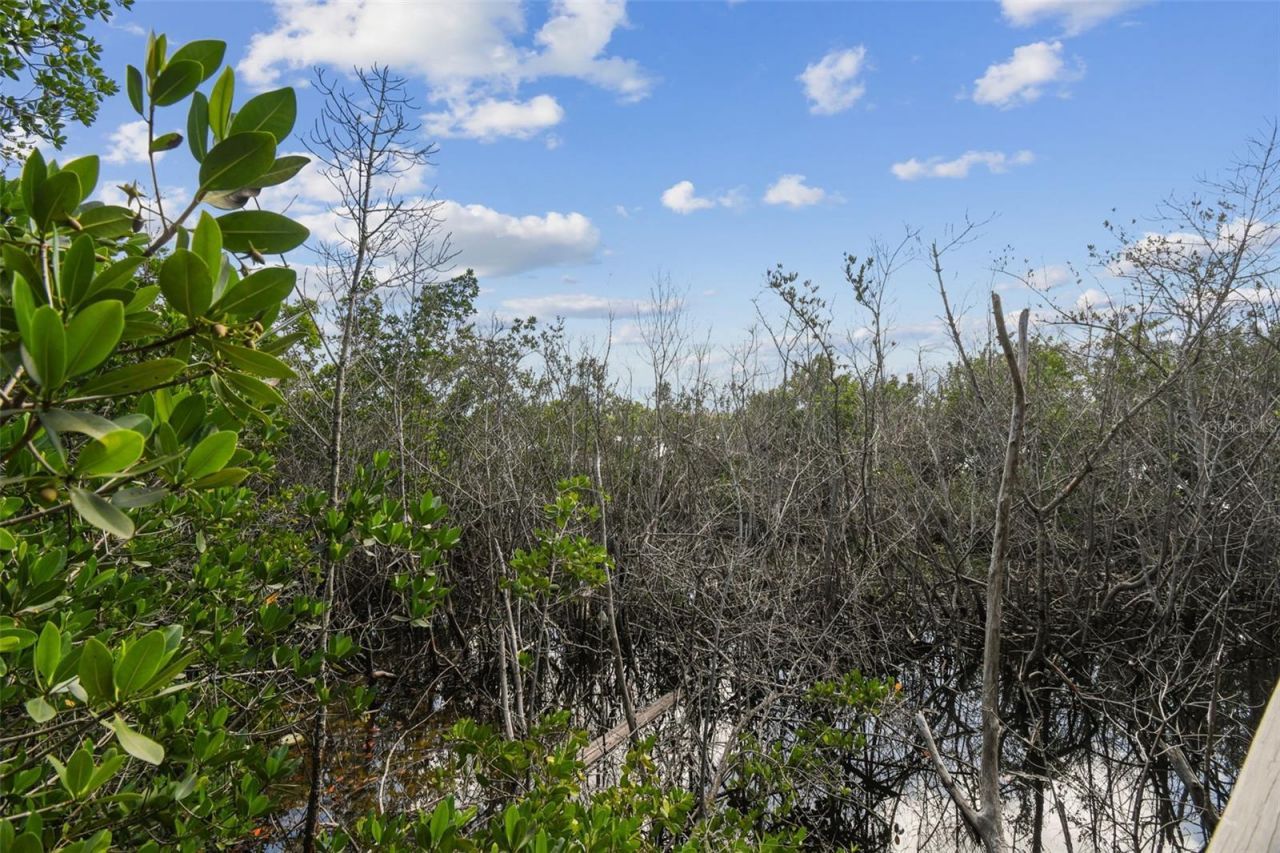 1705 Meyers Cove Drive, Tarpon Springs, FL 34689 Photo