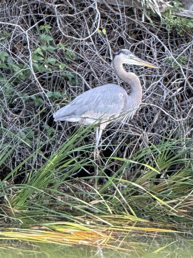 4004 Shoal Line Boulevard, Hernando Beach, FL 34607 Photo