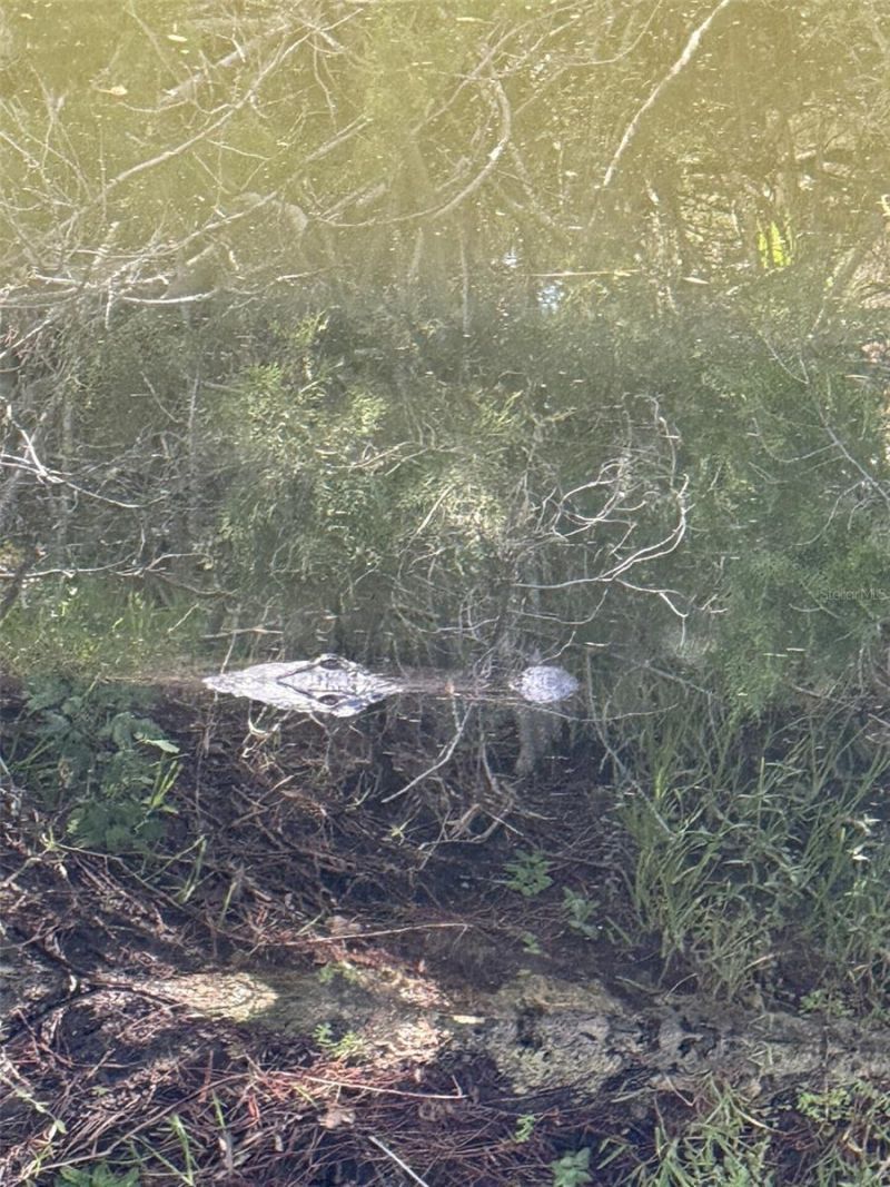 4004 Shoal Line Boulevard, Hernando Beach, FL 34607 Photo