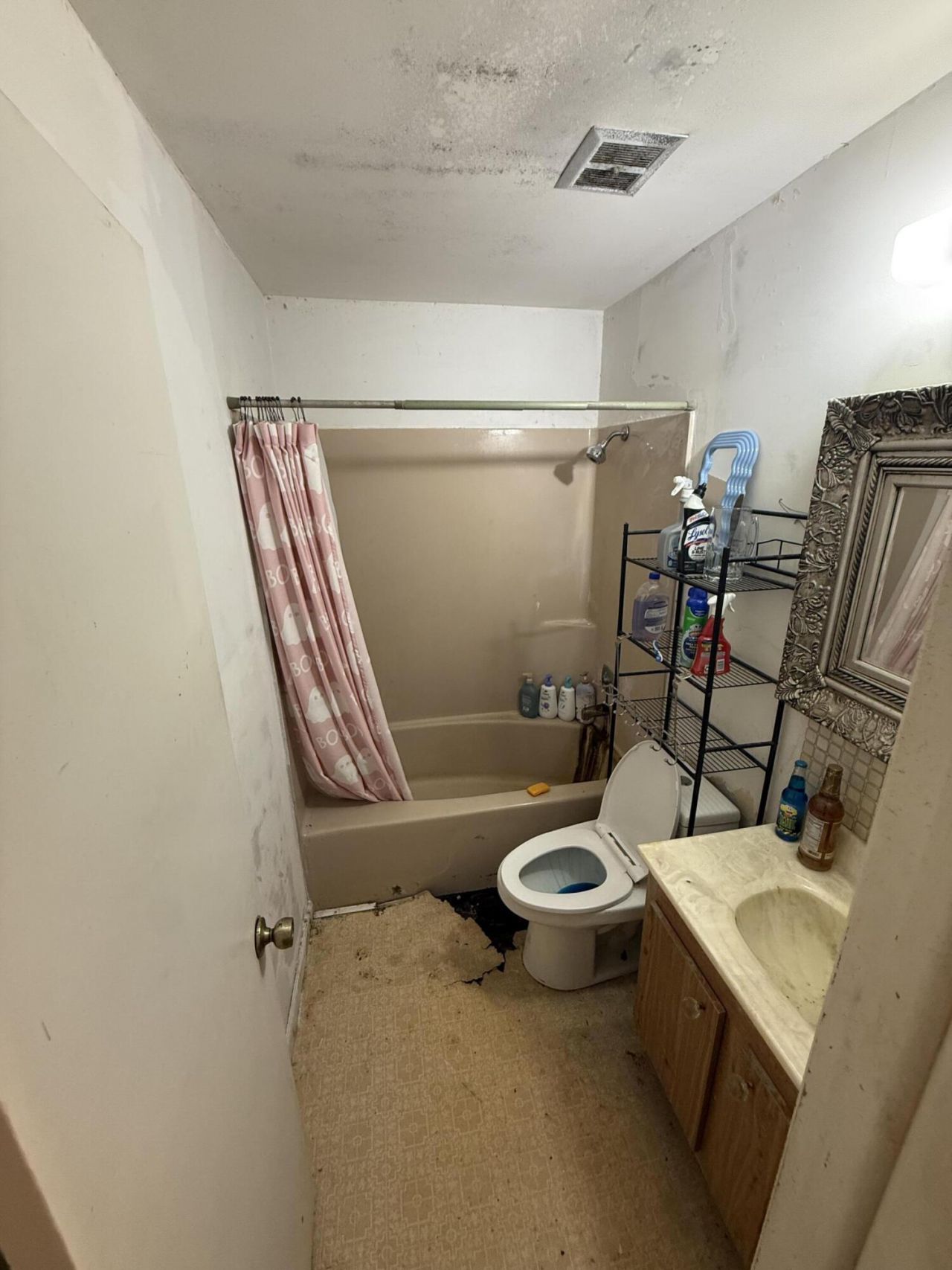 6258 NW 80th Terrace, Parkland, FL 33067 Photo