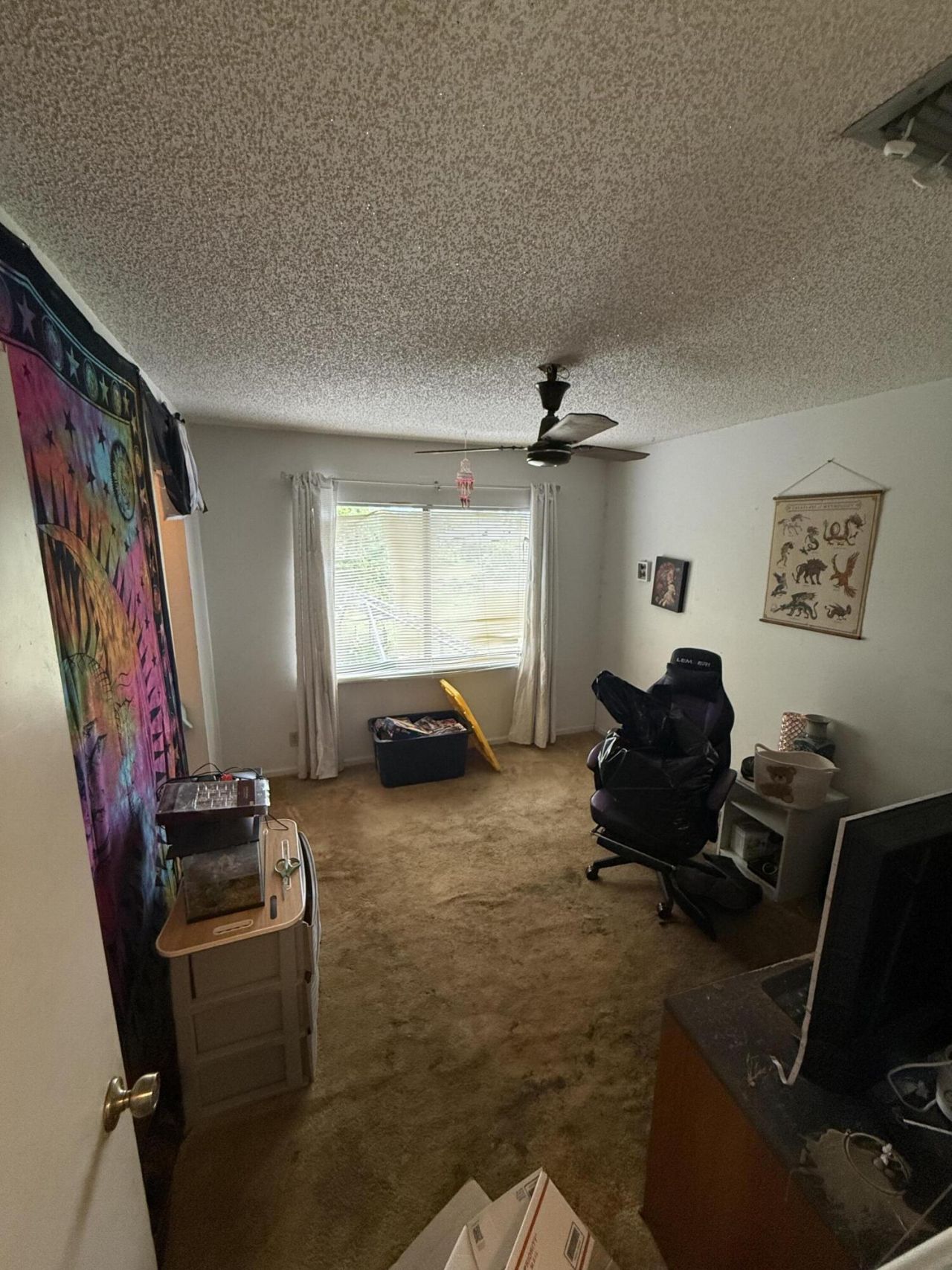 6258 NW 80th Terrace, Parkland, FL 33067 Photo