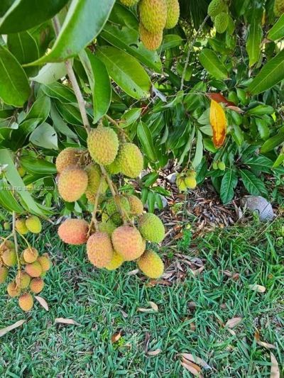 20520 SW 190th St , Miami, FL 33187 Photo