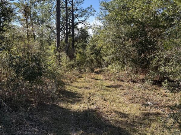 Lot 21 Grassy Pond Road, Chipley, FL 32428