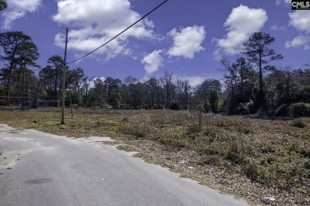 119 Miot Street Photo 10