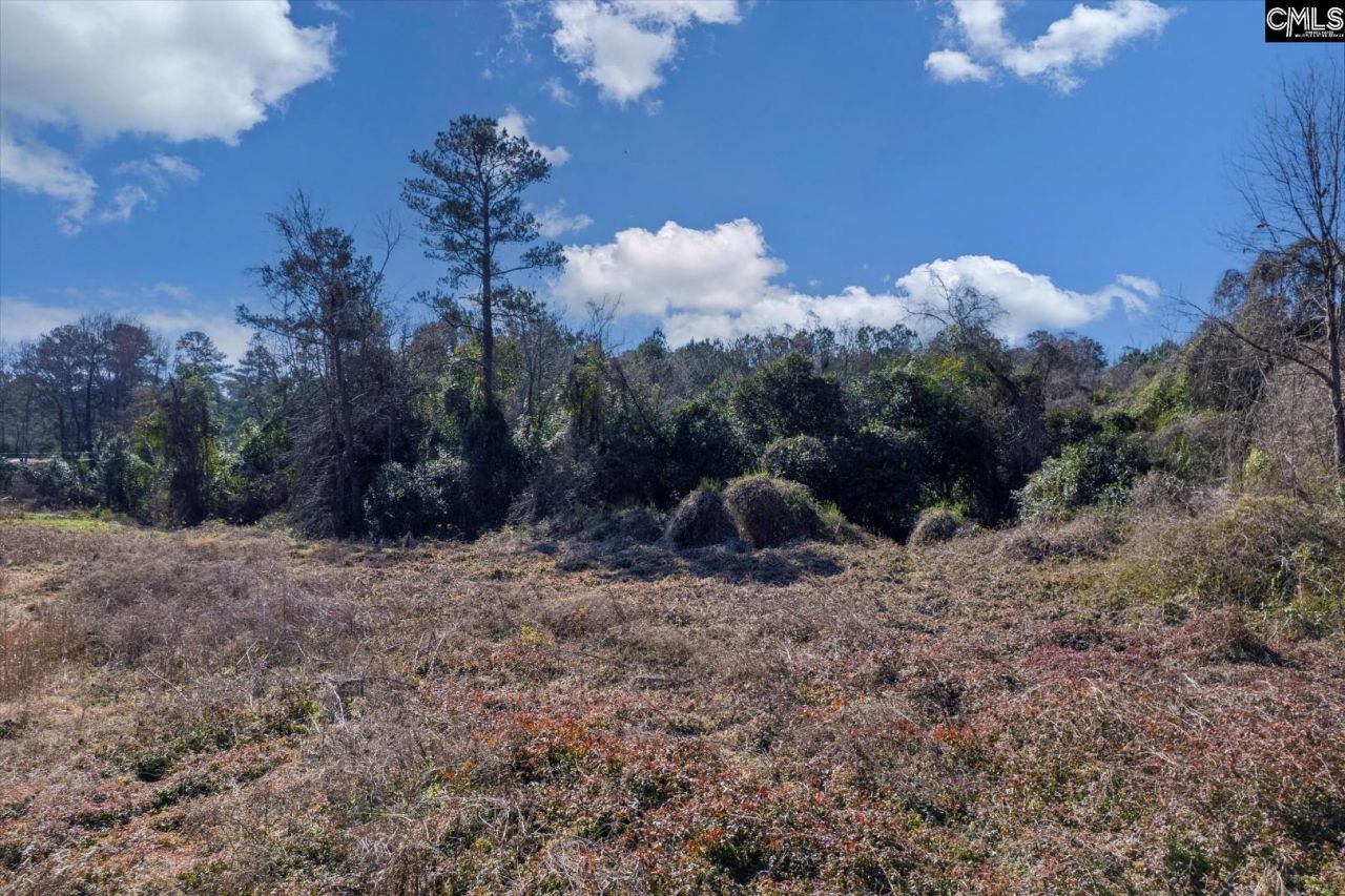 119 Miot Street Photo 8