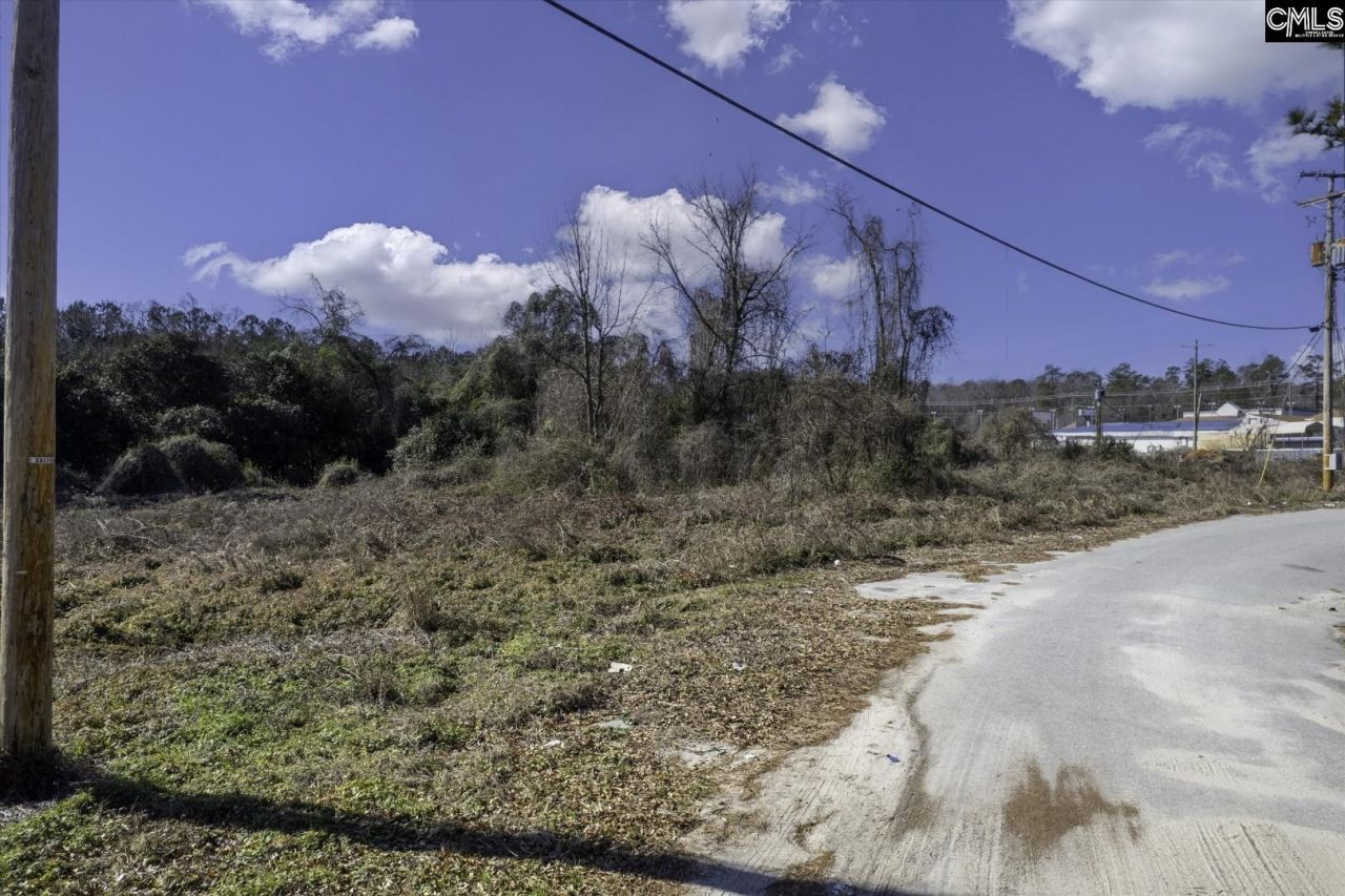 119 Miot Street Photo 9