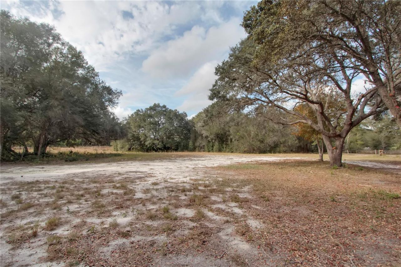 6892 Swain Road, Sorrento, FL 32776 Photo