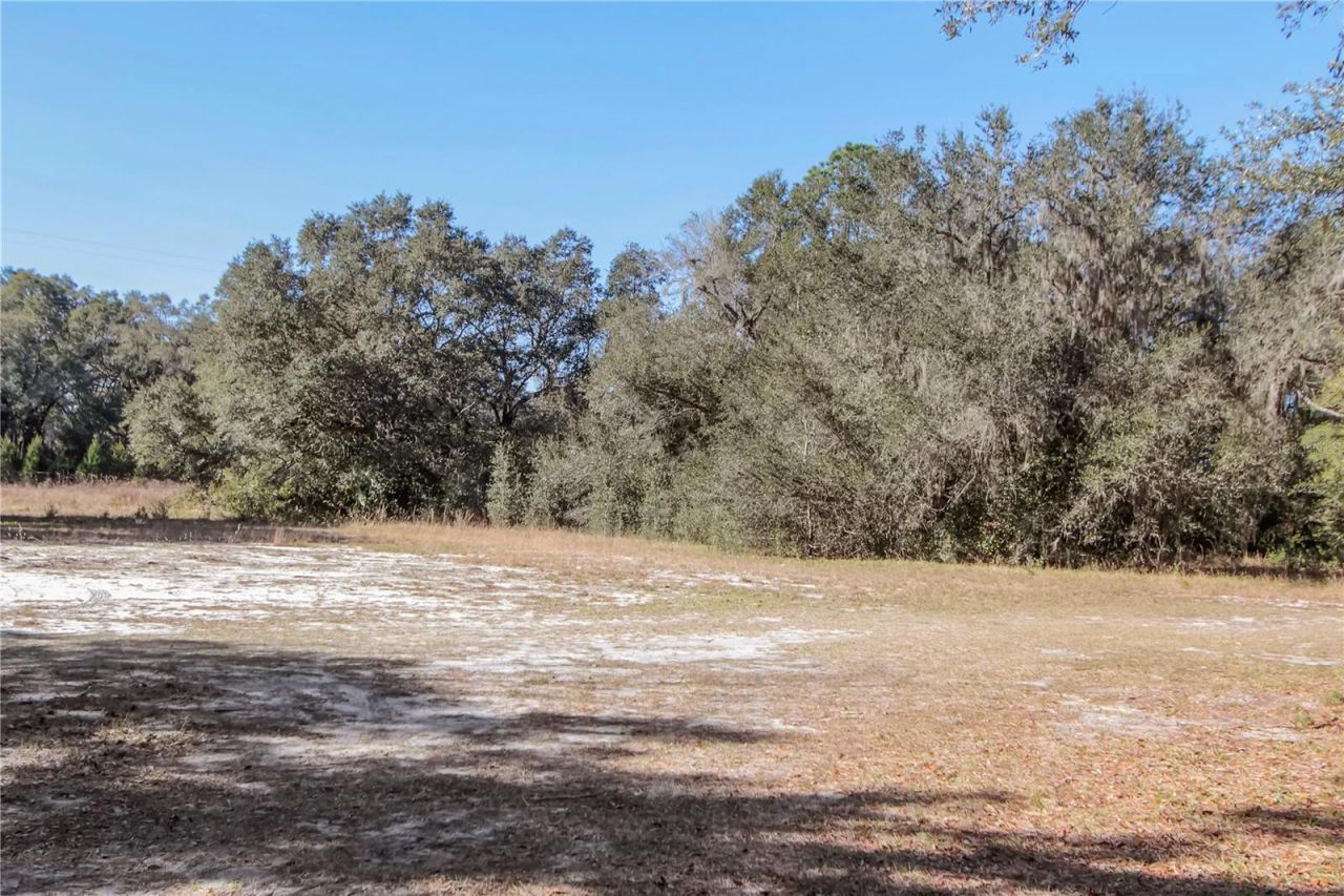 6892 Swain Road, Sorrento, FL 32776 Photo