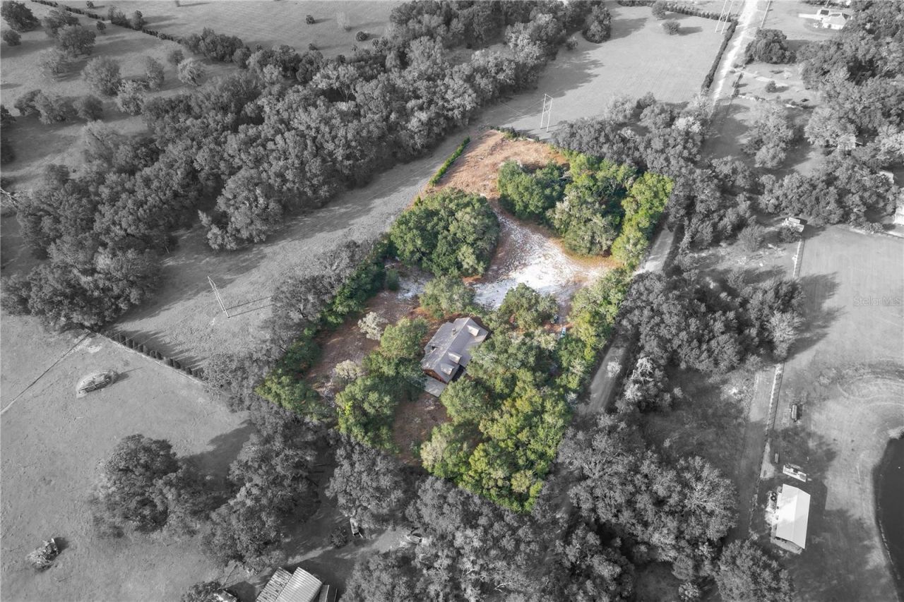 6892 Swain Road, Sorrento, FL 32776 Photo