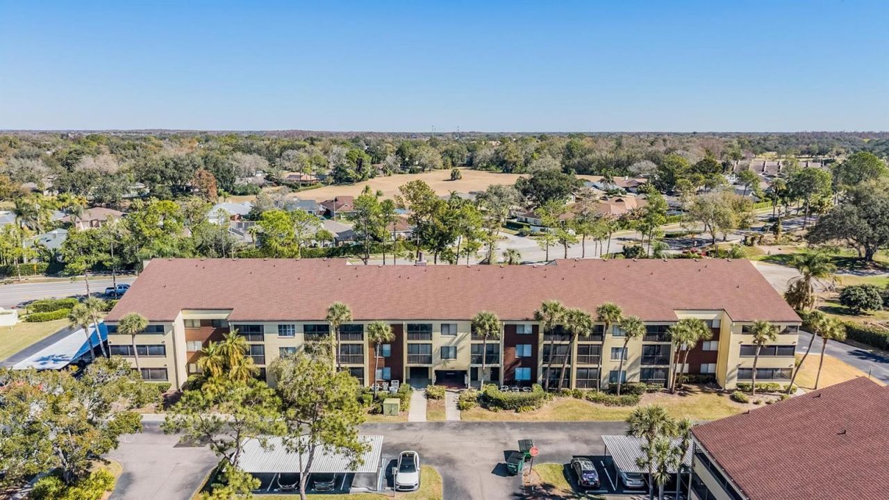 13602 S Village Drive, Unit 1204, Tampa, FL 33618 Main Photo