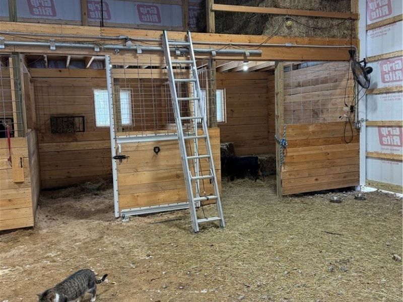 5138 Fisher Corinth Road, Farmdale, OH 44417 Photo 48