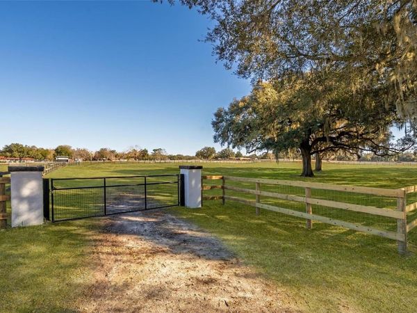 8245 NW 137TH AVENUE, MORRISTON, FL 32668