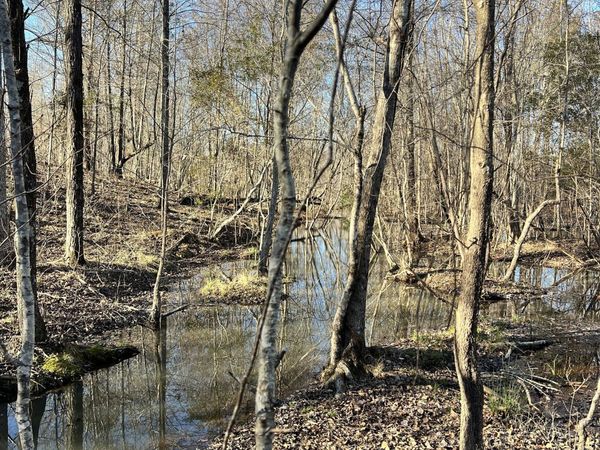 0 Crawfordville Road, White Plains, GA 30678