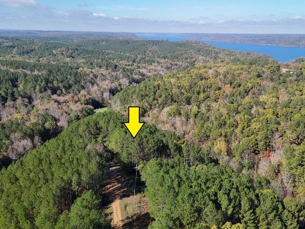 LOT 20 WOODLANDS OF RIVERTRACE RD, Iuka, MS 38852