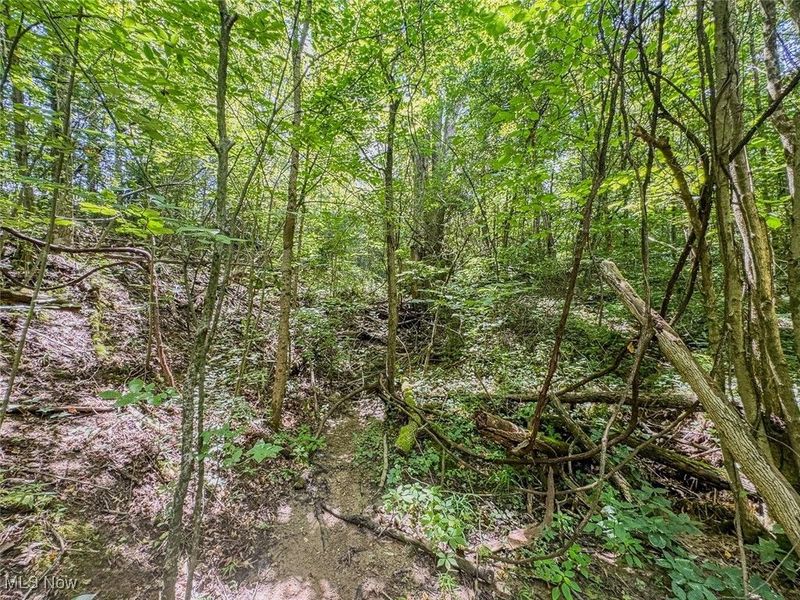 0 Mill St Road, Salesville, OH 43778 Photo 10