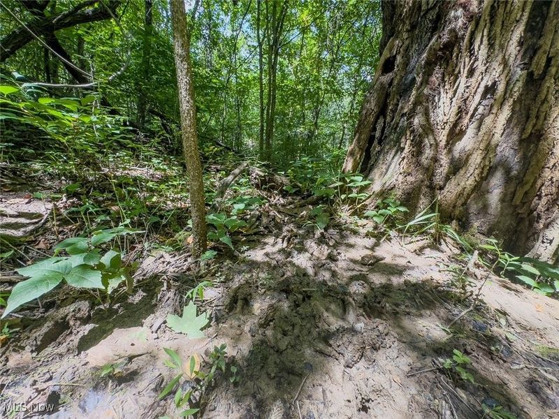 0 Mill St Road, Salesville, OH 43778 Photo 12