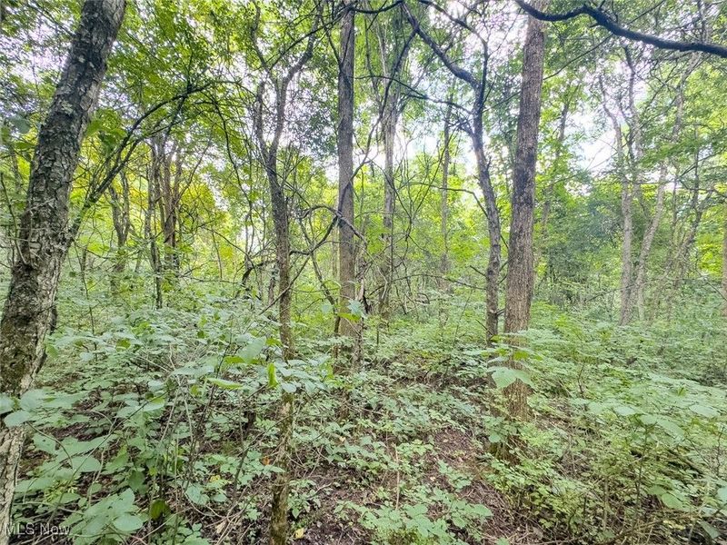 0 Mill St Road, Salesville, OH 43778 Photo 13