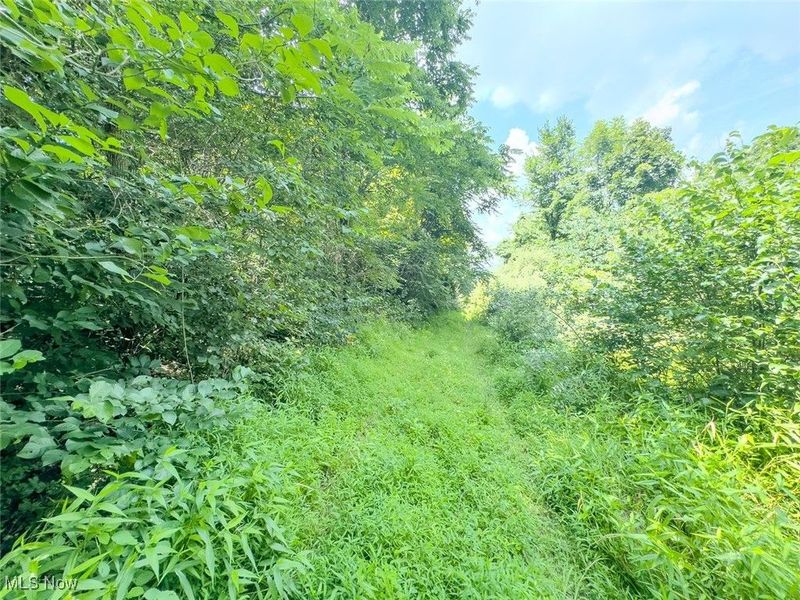 0 Mill St Road, Salesville, OH 43778 Photo 14