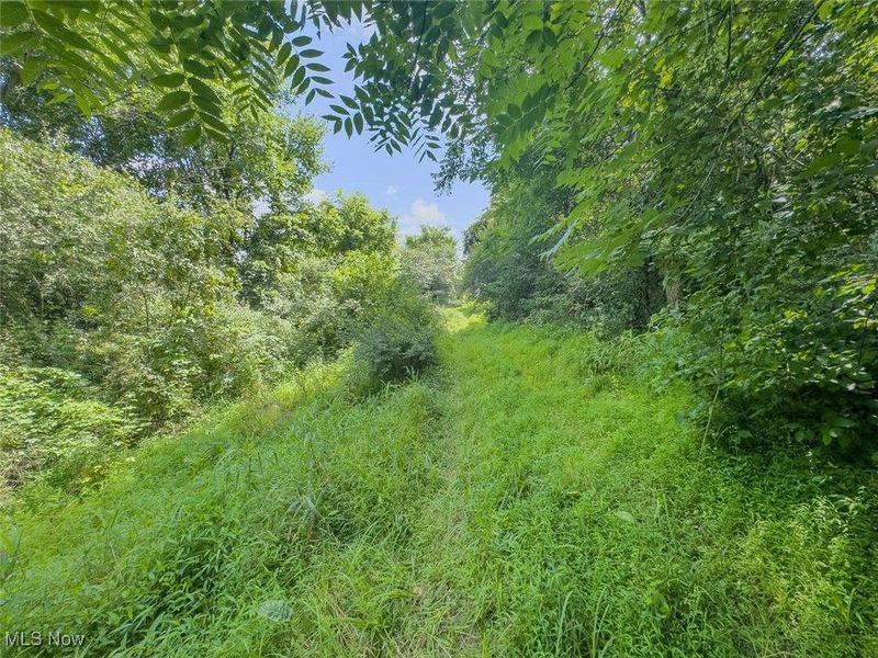 0 Mill St Road, Salesville, OH 43778 Photo 16