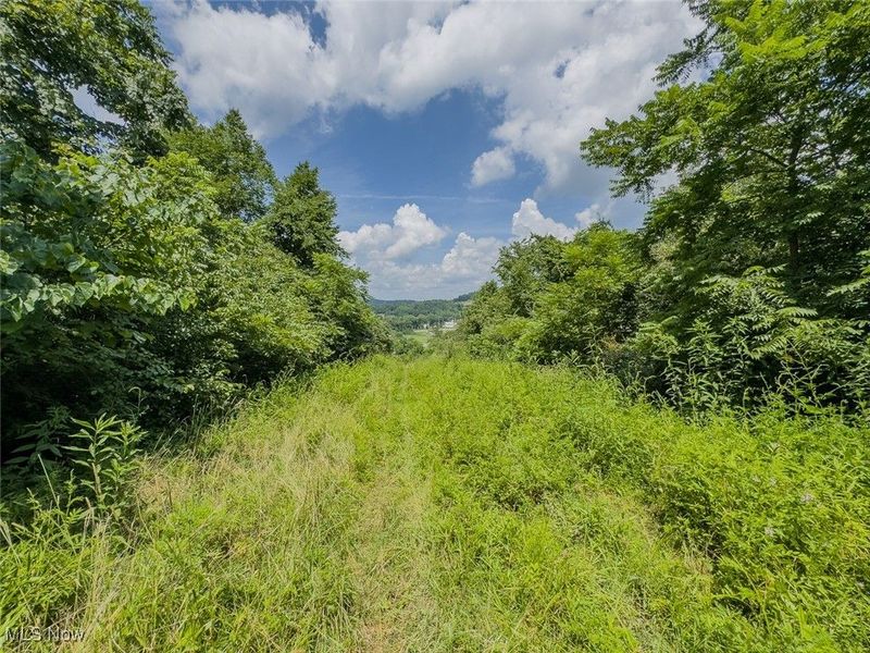 0 Mill St Road, Salesville, OH 43778 Photo 18