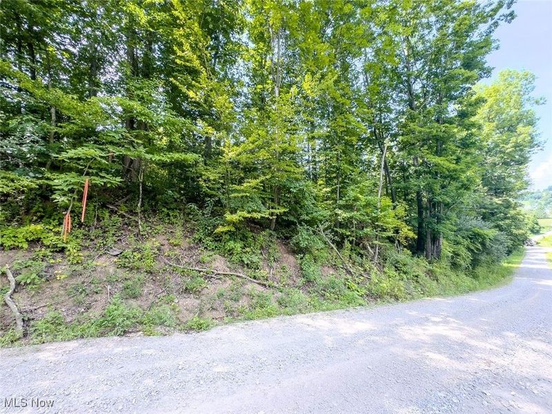 0 Mill St Road, Salesville, OH 43778 Photo 3