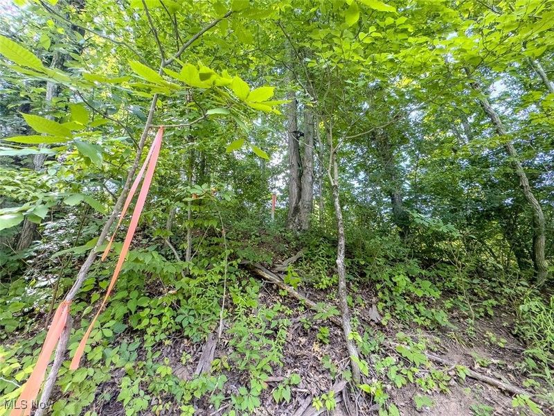 0 Mill St Road, Salesville, OH 43778 Photo 4