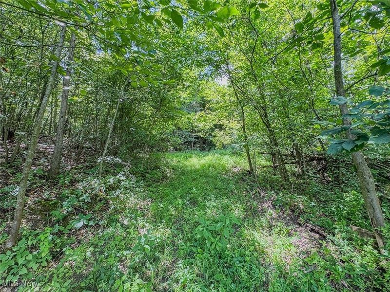 0 Mill St Road, Salesville, OH 43778 Photo 5