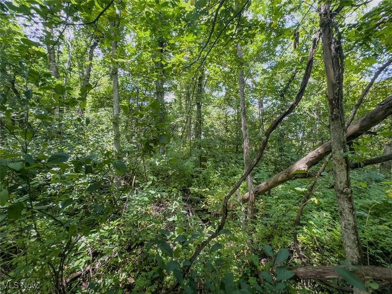 0 Mill St Road, Salesville, OH 43778 Photo 6