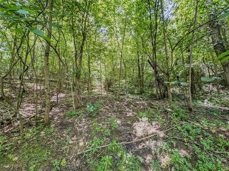 0 Mill St Road, Salesville, OH 43778 Photo 7