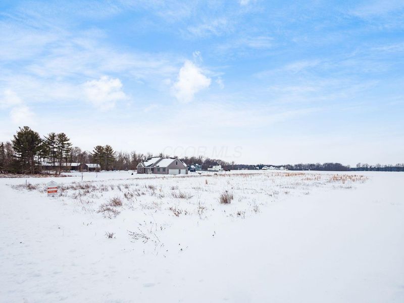 15319 Fish Road, Marysville, OH 43040 Photo 5