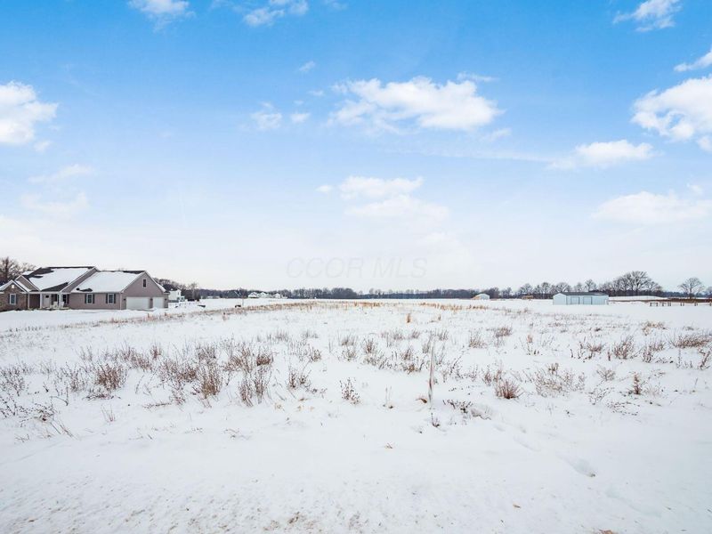 15319 Fish Road, Marysville, OH 43040 Photo 6