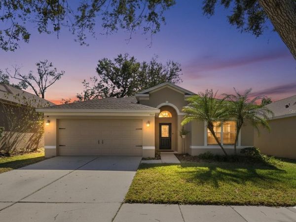 1129 EMERALD HILL WAY, VALRICO, FL 33594