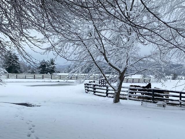 575 Smith Brewer Road, London, KY 40744