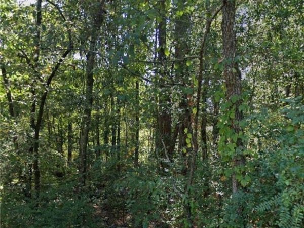 Lot 004 W Webb Avenue , Pine Bluff, AR 71602